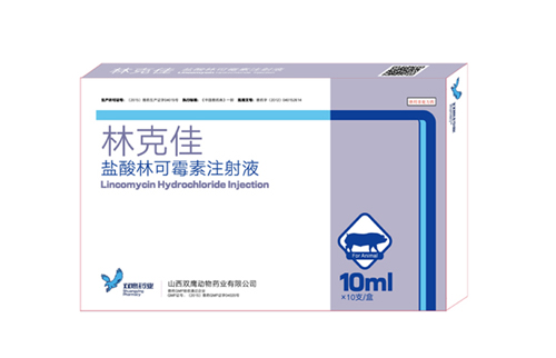 雙鷹豬藥篇之林克佳