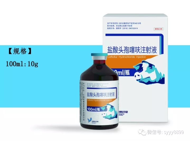 工藝決定療效，豬場(chǎng)抗菌藥更佳選擇