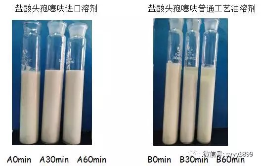 工藝決定療效，豬場(chǎng)抗菌藥更佳選擇