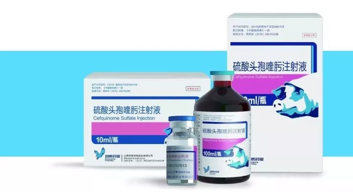 新品推出-硫酸頭孢喹肟注射液