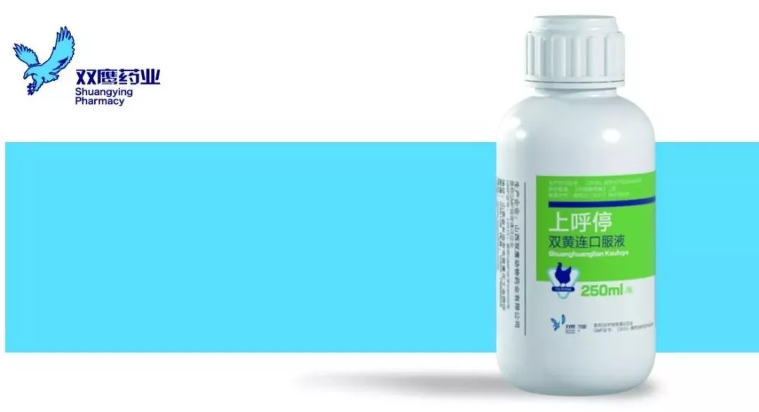 雙鷹中藥--雙黃連口服液