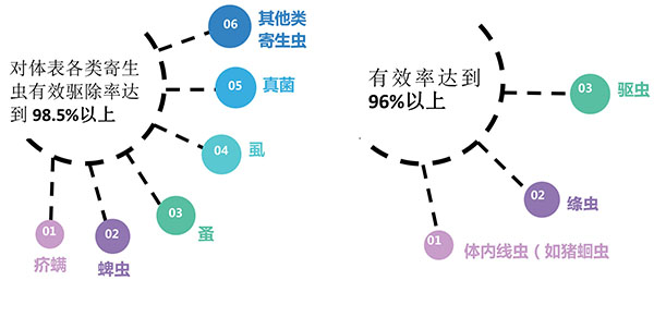 【精選】敖特爾—驅(qū)蟲革命