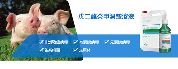 【精選】雙鷹雙效戊二醛，抗擊非瘟不二選