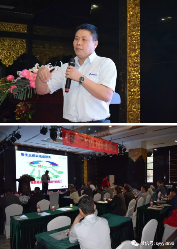 “回報于行、感恩于心”,雙鷹藥業.驅蟲雙雄上市發布會暨2019核心經銷商高峰論壇圓滿落幕!