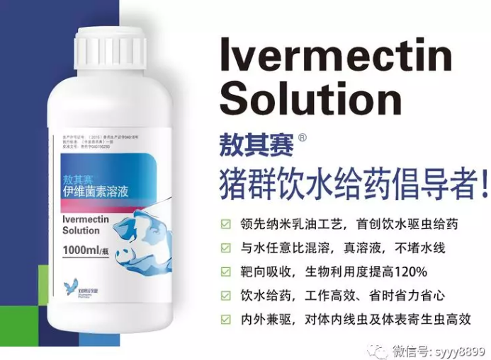 敖其賽-豬群飲水給藥倡導者！